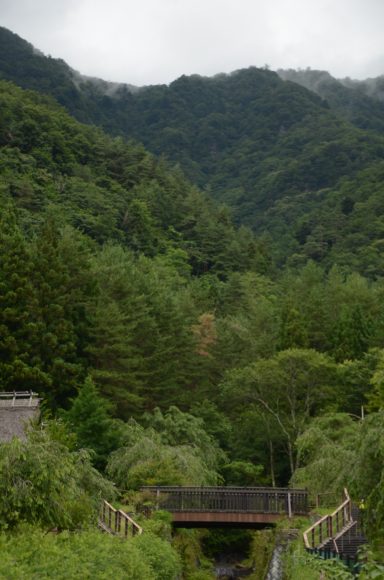 Lush green forested mountains with misty peaks and a small bridge in the foreground.